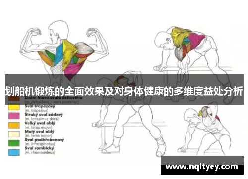 划船机锻炼的全面效果及对身体健康的多维度益处分析
