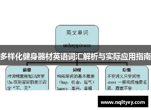 多样化健身器材英语词汇解析与实际应用指南