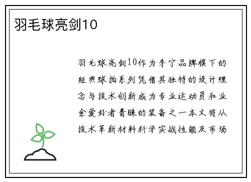 羽毛球亮剑10